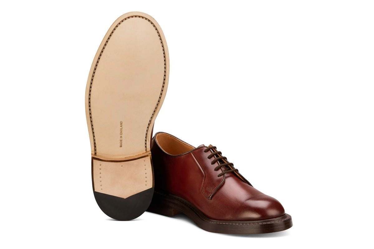 Robert Derby Shoe - Burgundy Burnished