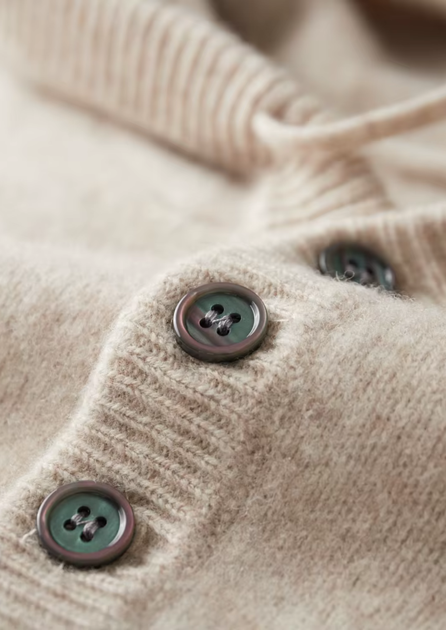 Cavallo  WOOL BUTTON HOODIE