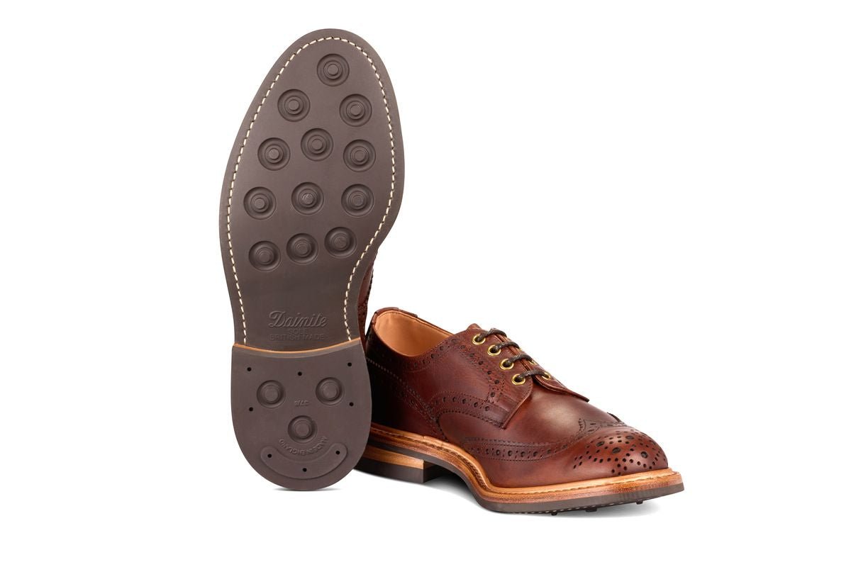Bourton Country Shoe - Whisky Pampus