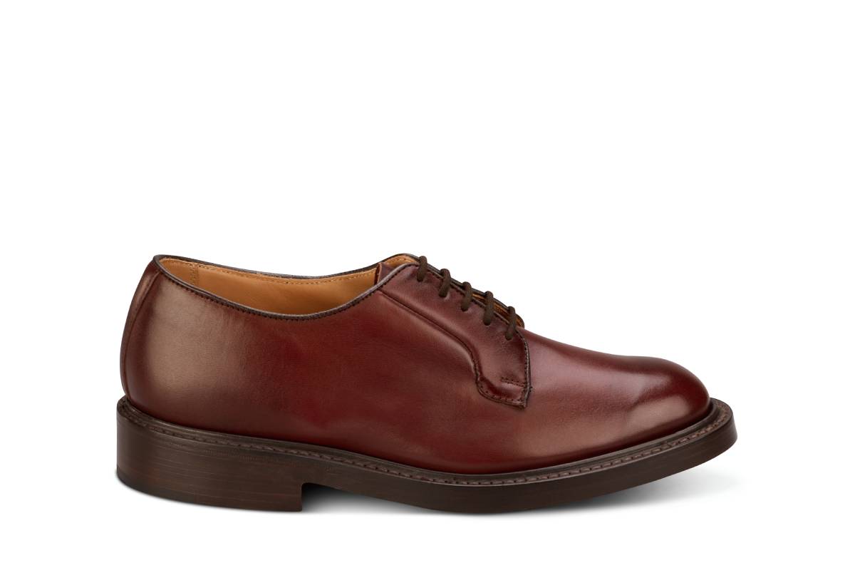 Robert Derby Shoe - Burgundy Burnished